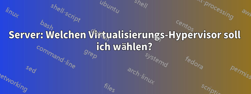 Server: Welchen Virtualisierungs-Hypervisor soll ich wählen?