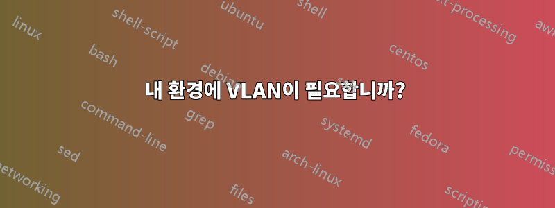 내 환경에 VLAN이 필요합니까?