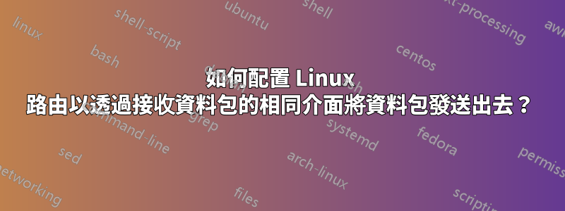 如何配置 Linux 路由以透過接收資料包的相同介面將資料包發送出去？