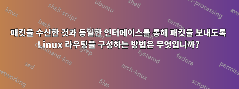 패킷을 수신한 것과 동일한 인터페이스를 통해 패킷을 보내도록 Linux 라우팅을 구성하는 방법은 무엇입니까?