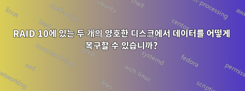 RAID 10에 있는 두 개의 양호한 디스크에서 데이터를 어떻게 복구할 수 있습니까?