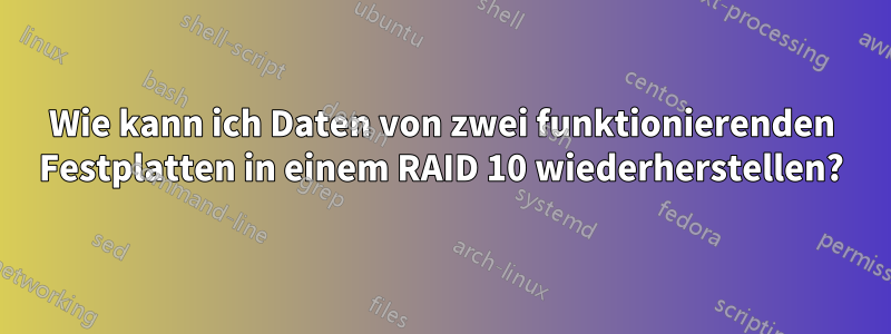 Wie kann ich Daten von zwei funktionierenden Festplatten in einem RAID 10 wiederherstellen?