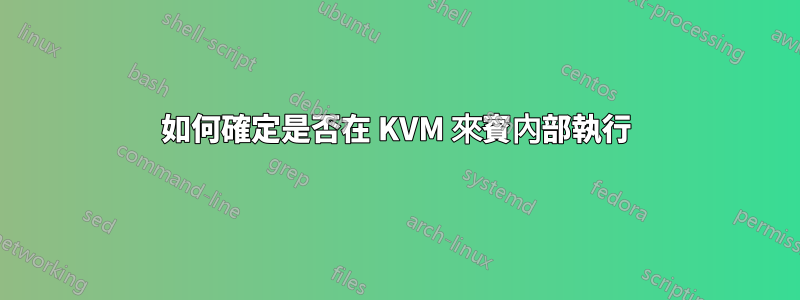 如何確定是否在 KVM 來賓內部執行