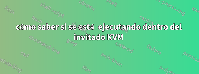 cómo saber si se está ejecutando dentro del invitado KVM