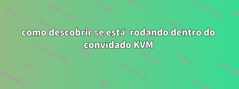 como descobrir se está rodando dentro do convidado KVM
