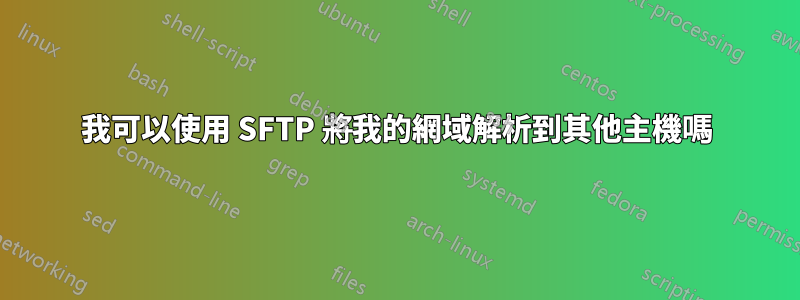 我可以使用 SFTP 將我的網域解析到其他主機嗎