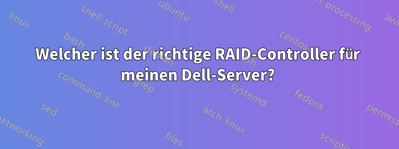 Welcher ist der richtige RAID-Controller für meinen Dell-Server?