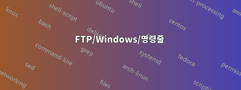 FTP/Windows/명령줄