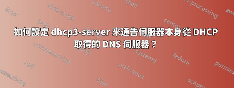 如何設定 dhcp3-server 來通告伺服器本身從 DHCP 取得的 DNS 伺服器？