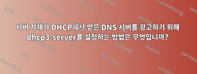 서버 자체가 DHCP에서 얻은 DNS 서버를 광고하기 위해 dhcp3-server를 설정하는 방법은 무엇입니까?