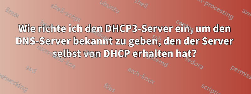 Wie richte ich den DHCP3-Server ein, um den DNS-Server bekannt zu geben, den der Server selbst von DHCP erhalten hat?