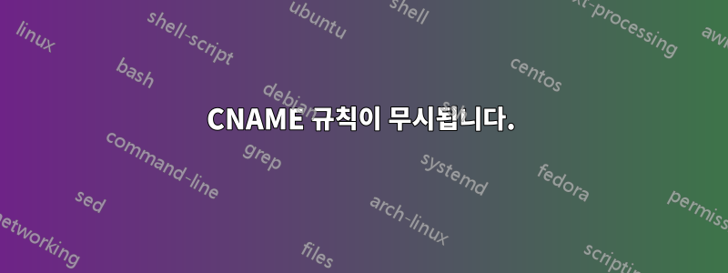 CNAME 규칙이 무시됩니다.