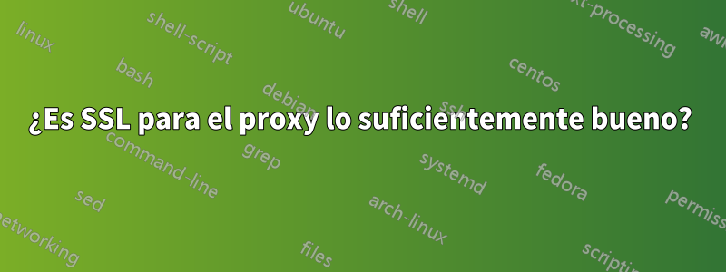 ¿Es SSL para el proxy lo suficientemente bueno?