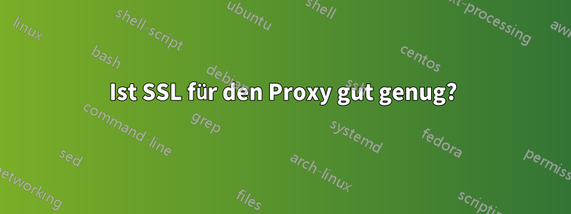 Ist SSL für den Proxy gut genug?