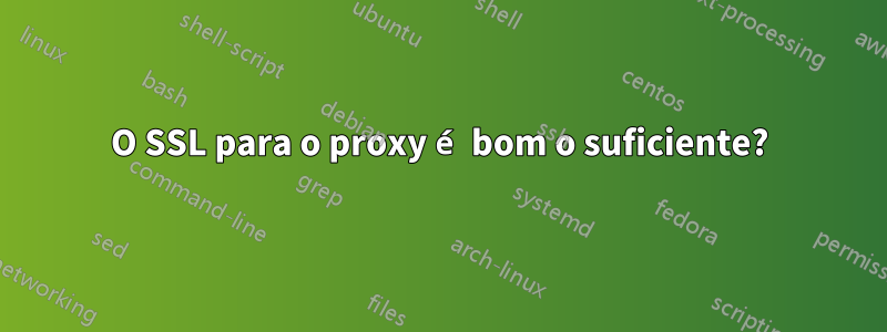 O SSL para o proxy é bom o suficiente?