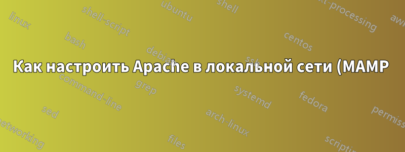 Как настроить Apache в локальной сети (MAMP)