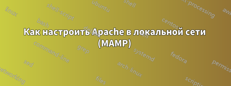 Как настроить Apache в локальной сети (MAMP)