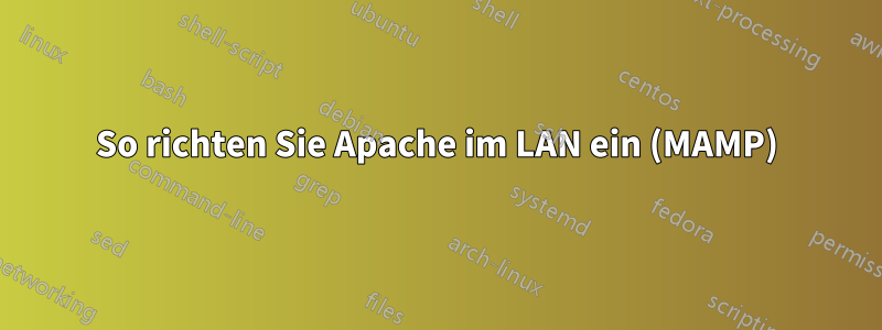 So richten Sie Apache im LAN ein (MAMP)