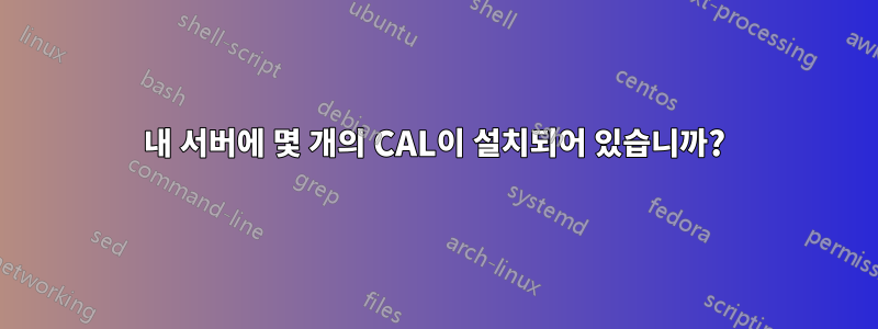 내 서버에 몇 개의 CAL이 설치되어 있습니까?