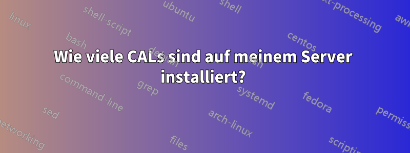 Wie viele CALs sind auf meinem Server installiert?