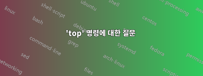 'top' 명령에 대한 질문