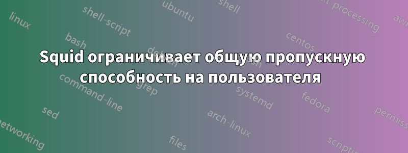 Squid ограничивает общую пропускную способность на пользователя 