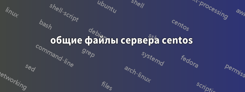 общие файлы сервера centos