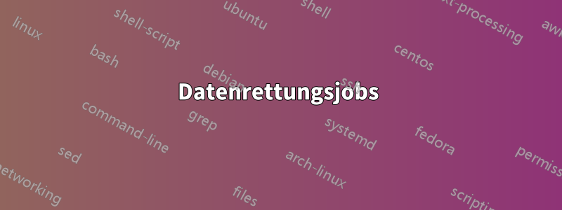 Datenrettungsjobs