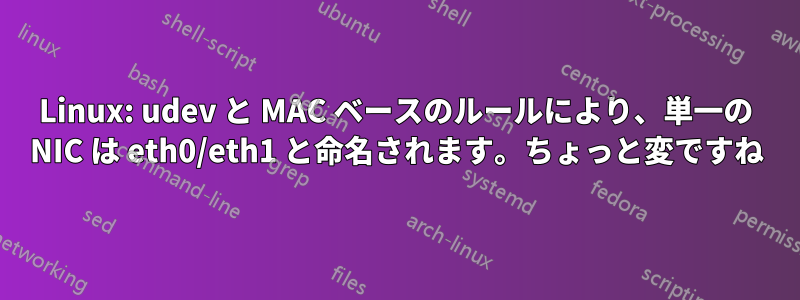 Linux: udev と MAC ベースのルールにより、単一の NIC は eth0/eth1 と命名されます。ちょっと変ですね