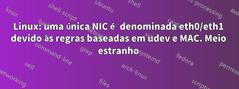 Linux: uma única NIC é denominada eth0/eth1 devido às regras baseadas em udev e MAC. Meio estranho