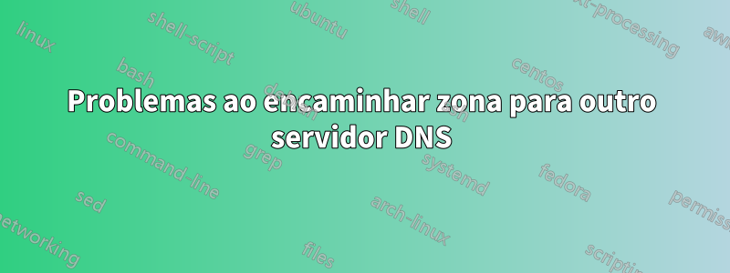 Problemas ao encaminhar zona para outro servidor DNS