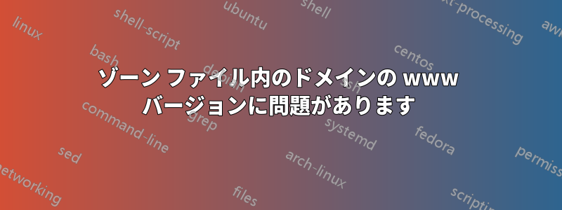 ゾーン ファイル内のドメインの www バージョンに問題があります