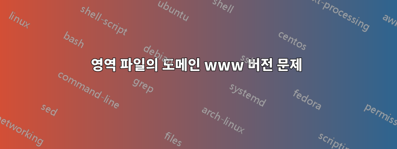 영역 파일의 도메인 www 버전 문제