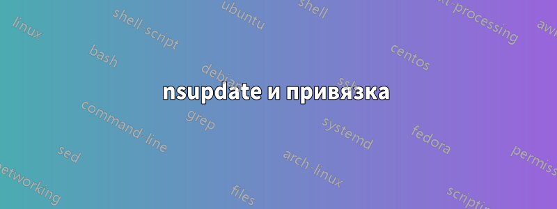 nsupdate и привязка