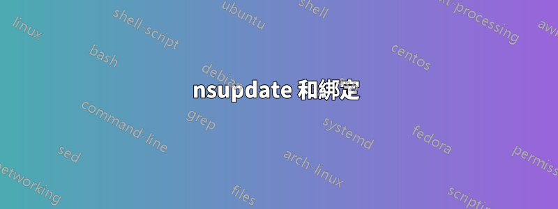 nsupdate 和綁定