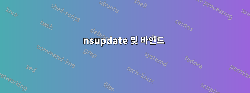 nsupdate 및 바인드