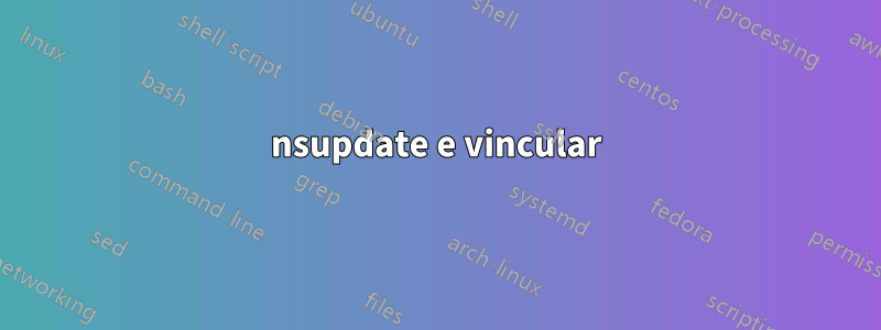 nsupdate e vincular