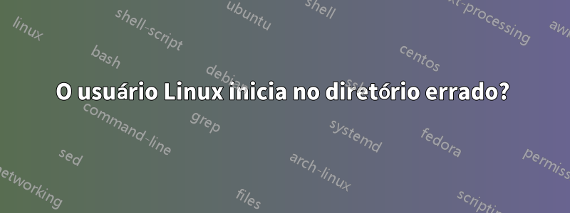 O usuário Linux inicia no diretório errado?