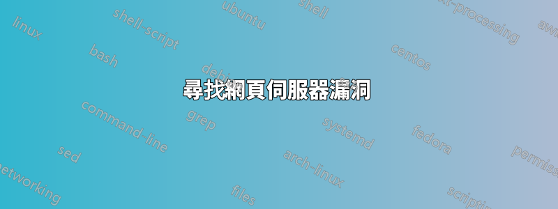 尋找網頁伺服器漏洞