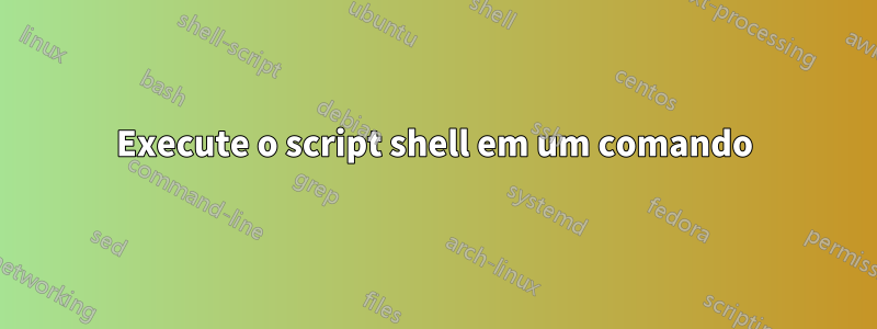 Execute o script shell em um comando