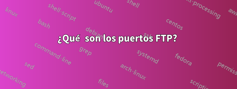 ¿Qué son los puertos FTP?