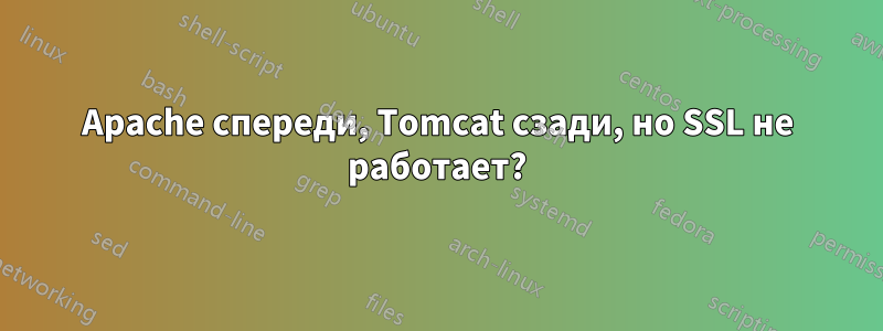 Apache спереди, Tomcat сзади, но SSL не работает?