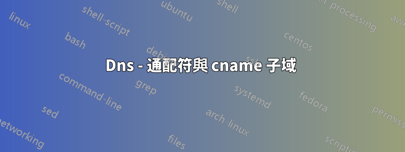 Dns - 通配符與 cname 子域