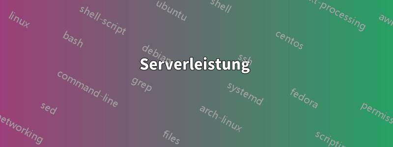 Serverleistung