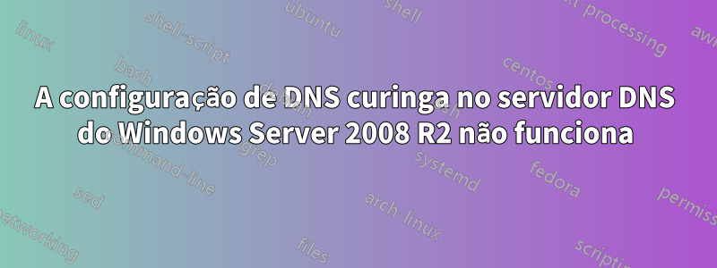 A configuração de DNS curinga no servidor DNS do Windows Server 2008 R2 não funciona