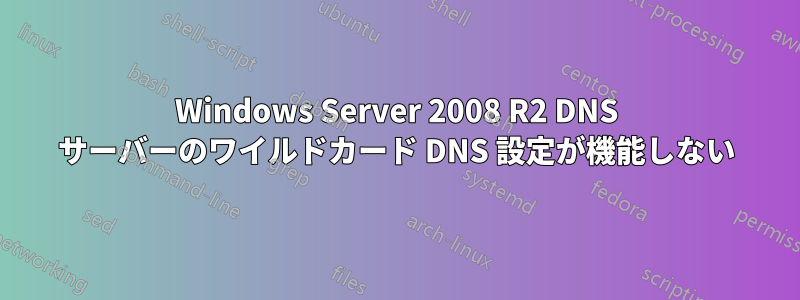 Windows Server 2008 R2 DNS サーバーのワイルドカード DNS 設定が機能しない