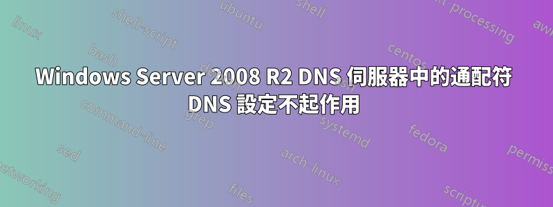 Windows Server 2008 R2 DNS 伺服器中的通配符 DNS 設定不起作用