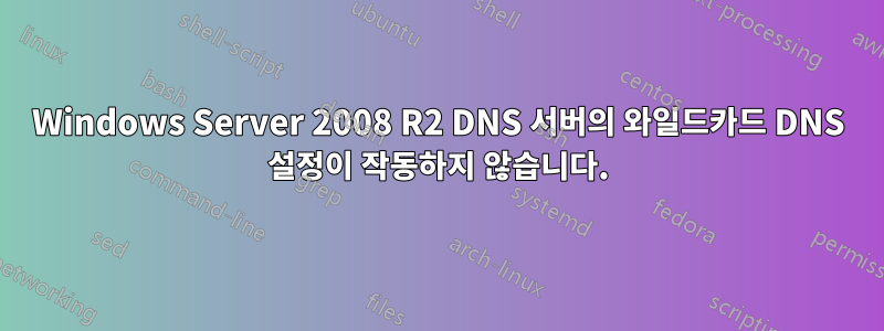 Windows Server 2008 R2 DNS 서버의 와일드카드 DNS 설정이 작동하지 않습니다.