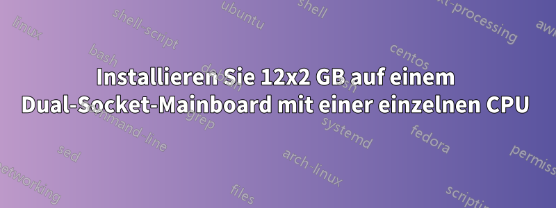 Installieren Sie 12x2 GB auf einem Dual-Socket-Mainboard mit einer einzelnen CPU