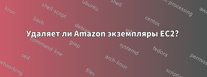 Удаляет ли Amazon экземпляры EC2?